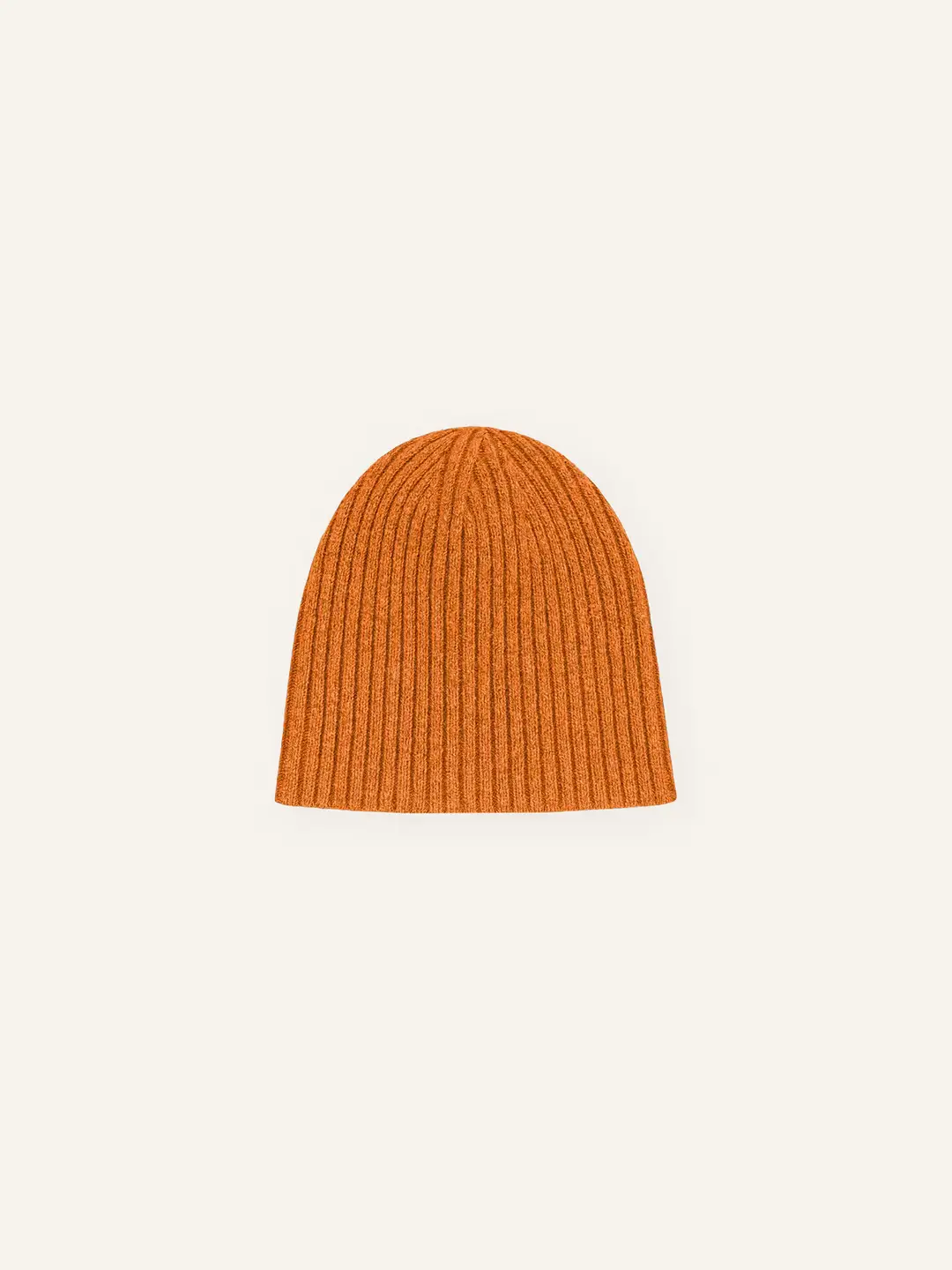 Ffected 'Basement' Ribbed Beanie (2)
